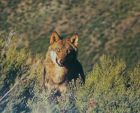 El Mirador De Candelas Feriehus