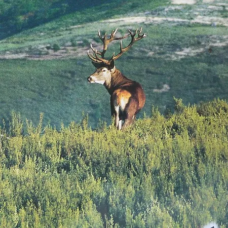 Feriehus El Mirador De Candelas *